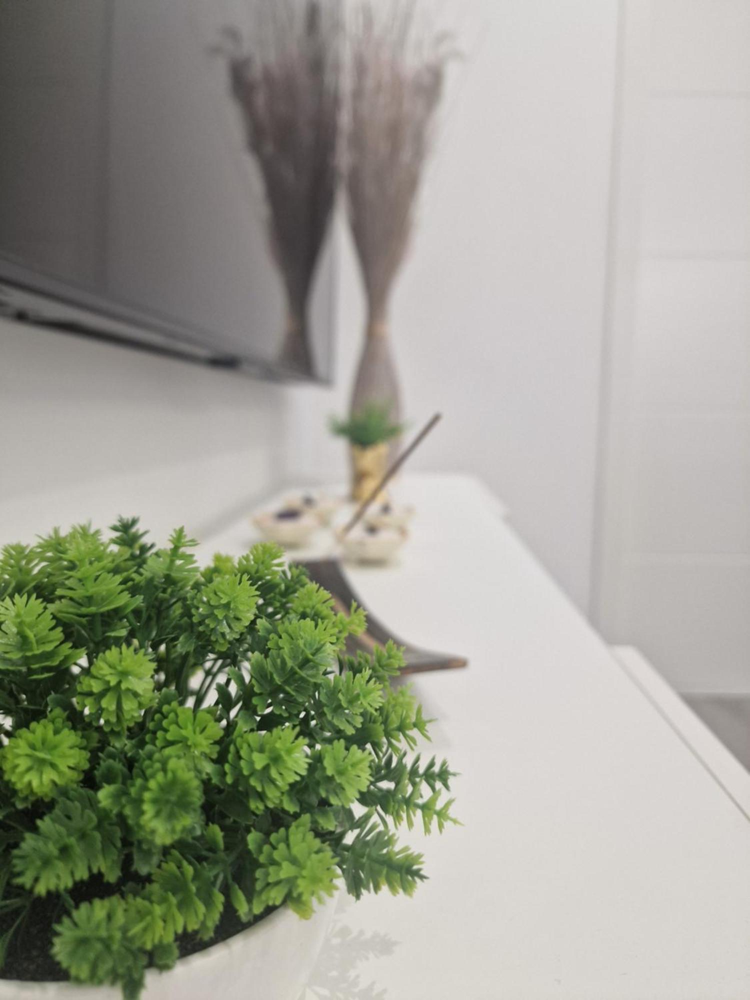 ロスピタレート・デ・リョブレガートBarcelona, Apartamento De 1 Habitacionアパートメント エクステリア 写真